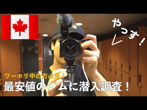 【vlog】カナダで新しい家と仕事が決まったので自分磨き始めます