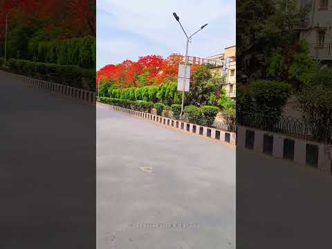 Natural view April 22042024s1#creativelifesdvlogs #trending #viral #natural #varanasi