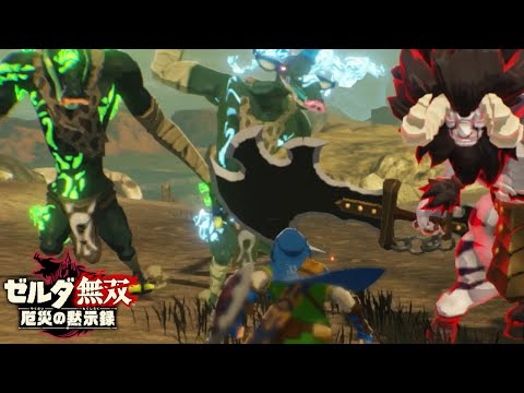 ライネル率いる魔物の群れを殲滅する勇者【ゼルダ無双 厄災の黙示録】【Hyrule Warriors】