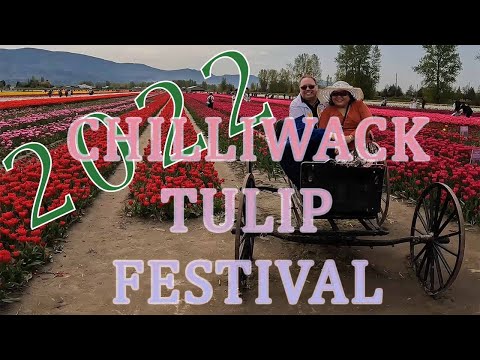 Exploring Chilliwack Tulip Festival - April 24,2022 - #ChilliwackTulipFestival #Chilliwack #2022