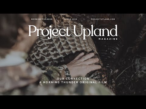 Wild Turkey and Hunting for Meat - Our Connection - Morning Thunder