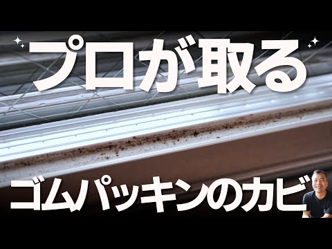 一度は見たほうが良い【ゴムパッキンのカビ】　簡単に落とす方法。