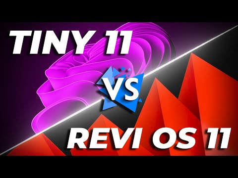 Tiny11 vs ReviOS 11 | Speed Test [2023]