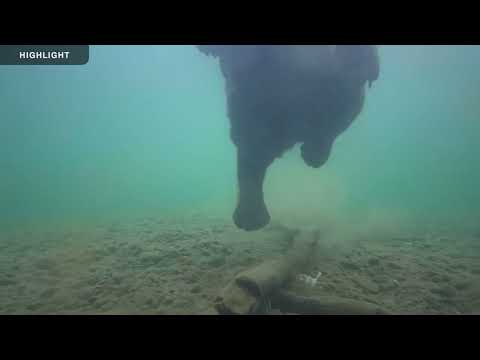 Underwater Salmon Cam - Katmai National Park | 2023 Highlights