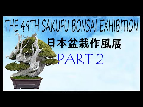 49Th Sakufu Bonsai Exhibition - 2023 December - Part 2