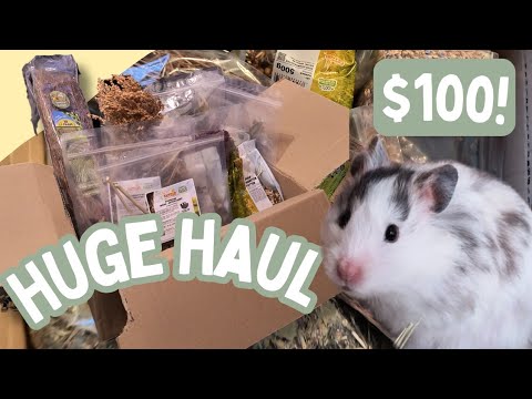 Unboxing a HUGE Hamster Haul From GERMANY! 🐹📦// getzoo hamster haul