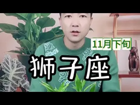 狮子座11月下旬感情走向 狮子座11月下旬感情走向狮子座