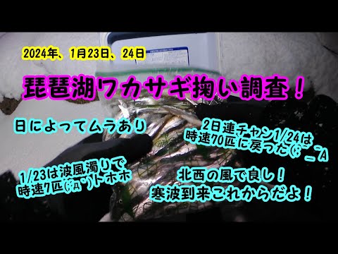 2024-01-23,24 琵琶湖ワカサギ掬い調査！