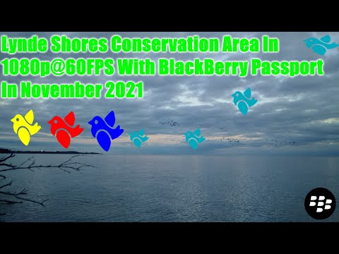 Lynde Shores Conservation Area In 1080p@60FPS With BlackBerry Passport In November 2021