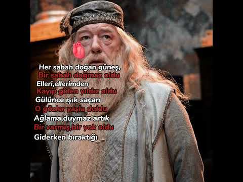 .... #keşvet #keşvetol #dumledore #itzy #midzy