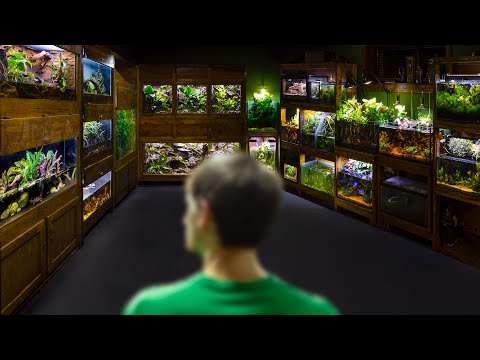 This Is My Basement: The Ultimate Animal Room (Tour)