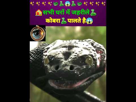 🏠सभी घरों में जहरीले कोबरा🐍पालते है😱 #shorts #ytshorts #facts