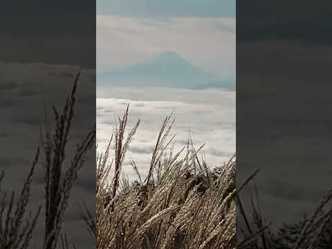 雲海&富士山