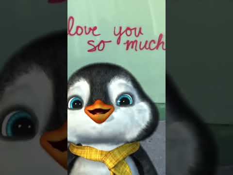 Thankful 🤗 #penguin #iloveyou #cuteanimals