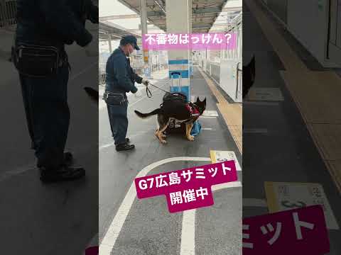 それ私の荷物…！！サミット開催中の広島の駅で警察犬が