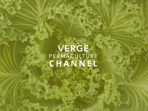 VergePermaculture Live Stream