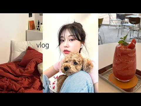 vlog 잘먹고 잘살자✨난 요즘 자격증 공부를 해..