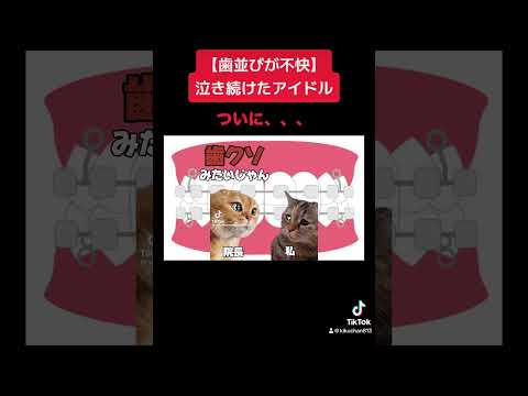 【歯並び不快】言われすぎたアイドルが、、、#猫ミーム #猫#アイドル