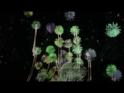 チームラボボーダレス / teamLab Borderless (Part 3) -- 麻布台ヒルズ / Azabudai Hills (2024/2/15)