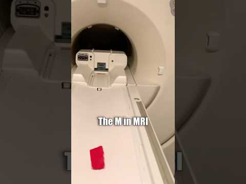 What Does MRI Stand For?