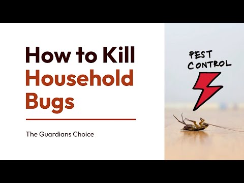 How to Kill Household Bugs | 6 Ways to Kill Household Bugs | The Guardians Choice