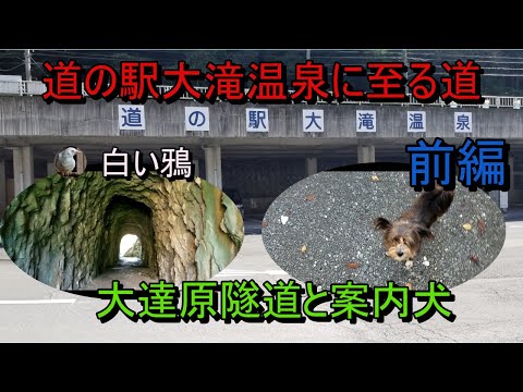 道の駅大滝温泉前編　大達原隧道と犬