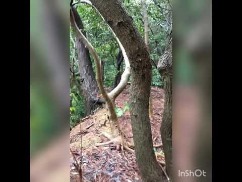 福岡県で一番低い山　小岳と大岳へ