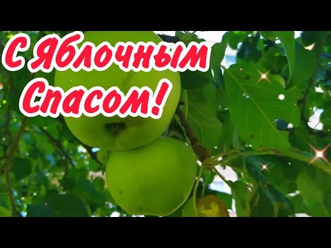 С Яблочным Спасом 2023! С Преображением Господним!