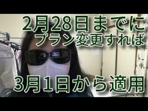 ワイモバイルのプランをまた変更しました。【ブログ音読】