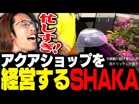 SHAKA「アクアショップ」を開店する【Aquatic Store Simulator】