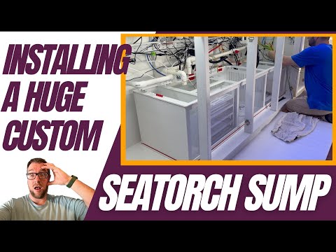 Installing A HUGE Custom SeaTorch Sump!