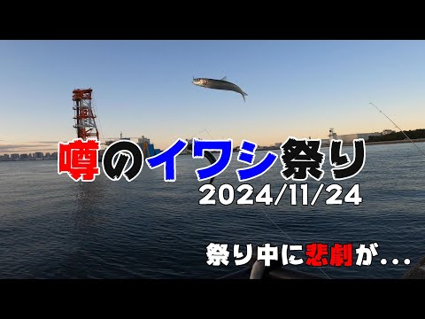 【まだ間に合う？】話題のイワシ祭りに参戦　2024/11/24