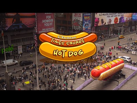 Hot Dog in the City Compilation