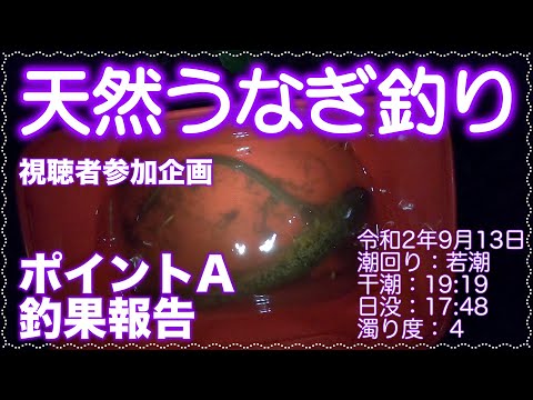 うなぎ釣り (天然うなぎ)　視聴者参加企画 ポイントA釣果報告 ドバミミズ使用