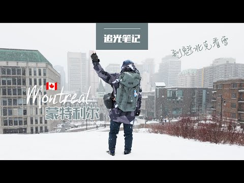 【追光笔记】到蒙特利尔看雪，爬上皇家山顶愿望就成真了，雨雪天气我的相机防雪和背负方案 - 加拿大旅行摄影VLOG