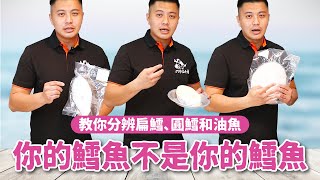 教你分辨扁鱈、圓鱈和油魚｜你的鱈魚不是你的鱈魚，直接盲測給你看【阿布潘水產】