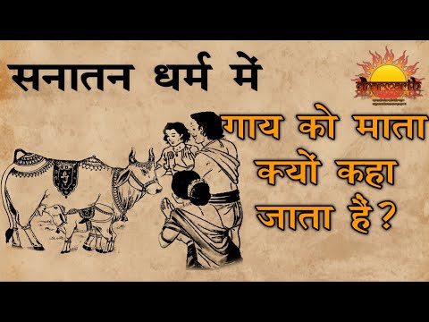 सनातन धर्म में गाय को ही माता क्यों कहा गया हैं?| गौ माता | Gau mata | Dharmarth