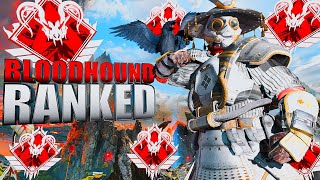 High-Level Bloodhound Ranked Gameplay | Apex Legends (No Commentary)