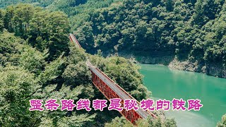 【大井川鐵道之旅】風景絕美，秘境車站紮堆的井川線，確定不來一次？