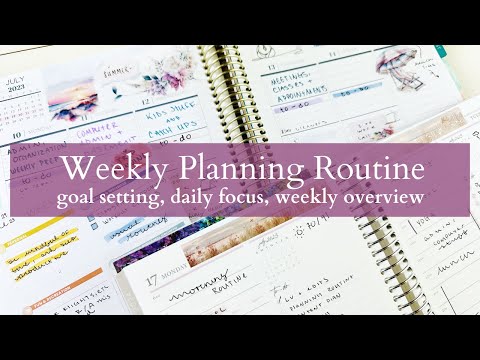 PLAN WITH ME | Weekly Reset Routine | Daily Focus & Schedule in the Plum Paper Vertical Priorities