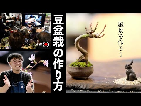 Learn the 5-point decoration of mame bonsai from Mr. Taiga [Bonsai Q]