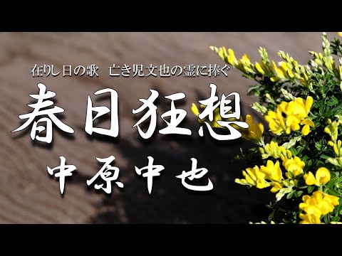 春日狂想　中原中也　朗読