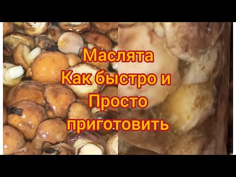 МАСЛЯТА / как приготовить грибы маслята.