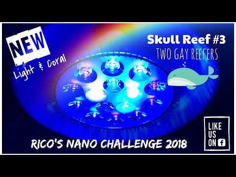 Rico’s Nano Challenge 2018 - Skull Reef March - Rico’s Aquariums