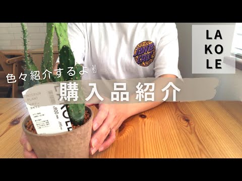 【購入品】｜GU👕｜LAKOLE🌵｜色々購入品紹介🌟｜夏服紹介も💖