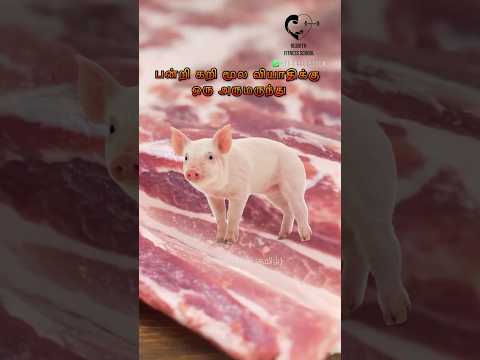 மூல வியாதிக்கு பன்றி கறியினை சாப்பிடலாமா? Pork for piles- Dr. Isacc Abbas