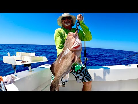 Tournament Season Ready | Biggest Red Grouper Ive Ever Seen