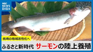 ふるさと新時代　枕崎市で「サーモン」の陸上養殖　寒い地域のサーモンが南国・枕崎の地域活性化へ(MBCニューズナウ 2024年12月10日放送)