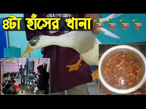 ৪ টা হাঁসের খানা 🦆| 4 duck's party 🥳 | Mr. Mustafa