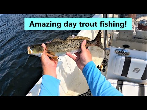 Speckled trout fishing, non stop action! Florida Gulf Coast